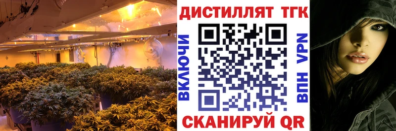 даркнет телеграм  закладка  Сосновоборск  Дистиллят ТГК THC oil 
