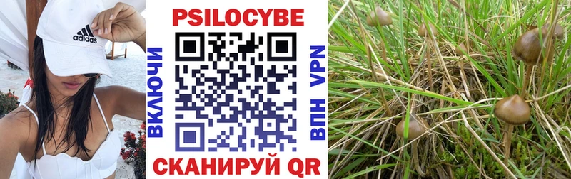 Псилоцибиновые грибы MAGIC MUSHROOMS  Сосновоборск 